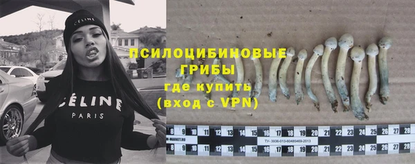 ешки Алексин