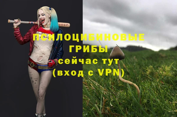 каннабис Абаза